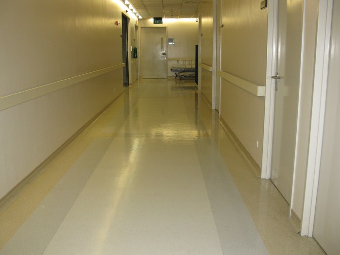 asian hosp 001