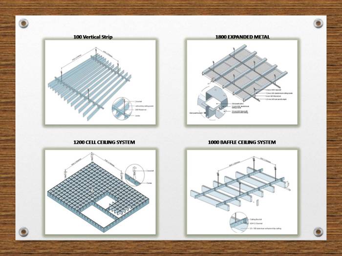 Slide5